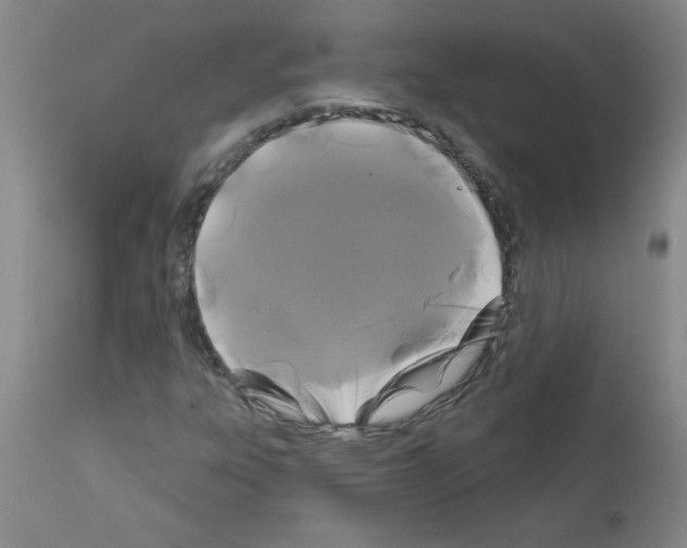 X0000111671303200908281101