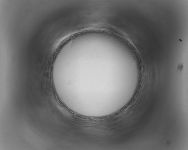 X0000111671304200908281101