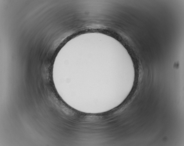 X0000111671305200908281101