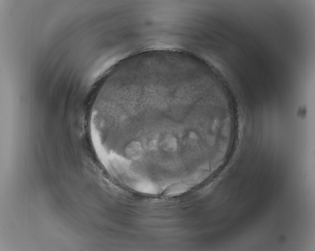 X0000111671306200908281101