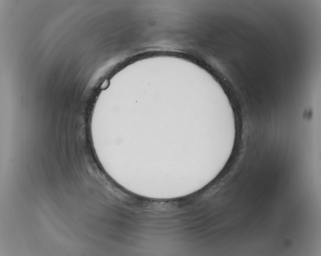 X0000111671307200908281101