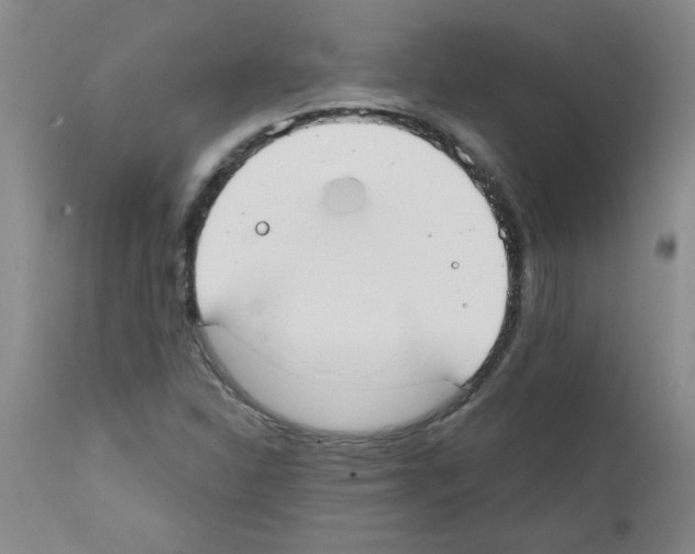 X0000111671310200908281101