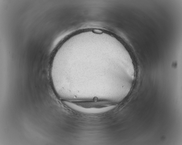 X0000111671312200908281101