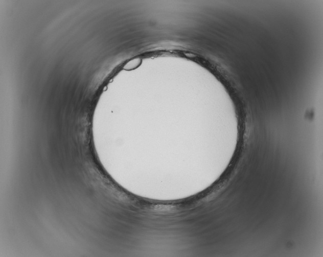 X0000111671313200908281101