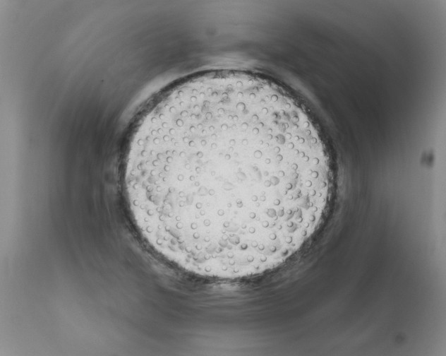 X0000111671315200908281101