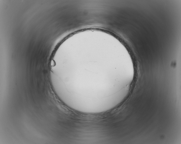 X0000111671316200908281101