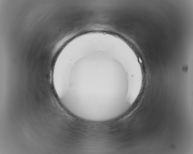 X0000111671317200908281101