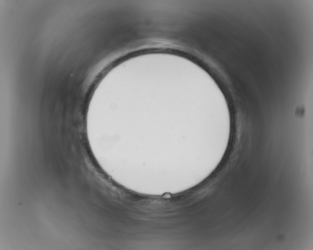 X0000111671318200908281101