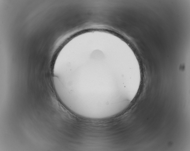 X0000111671319200908281101