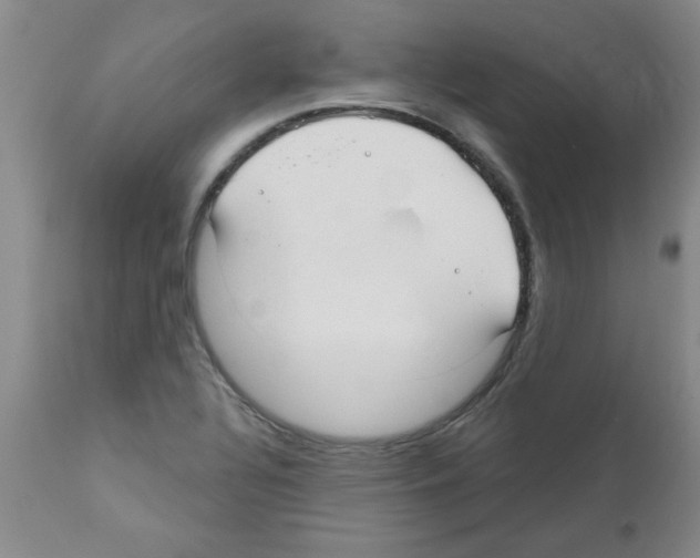 X0000111671320200908281101