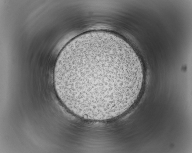 X0000111671321200908281101