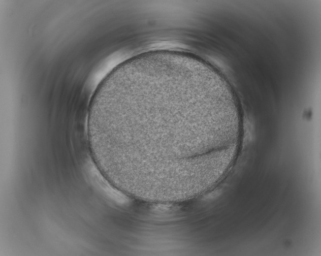 X0000111671322200908281101