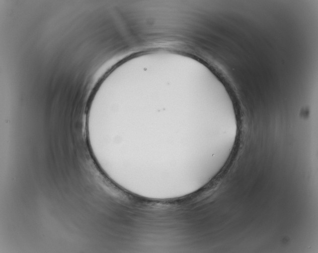 X0000111671324200908281101