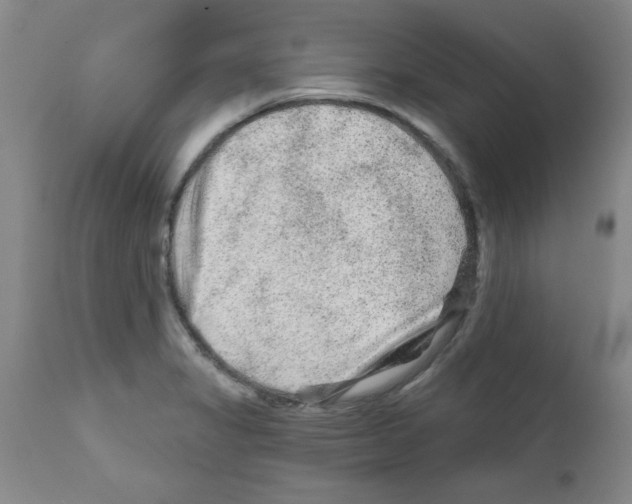 X0000111671325200908281101