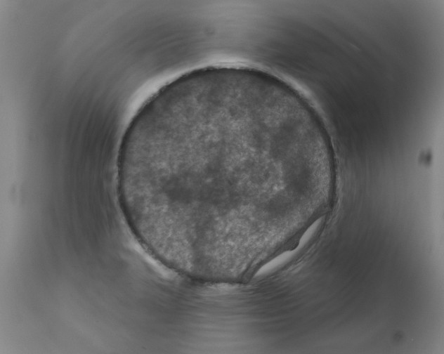 X0000111671327200908281101