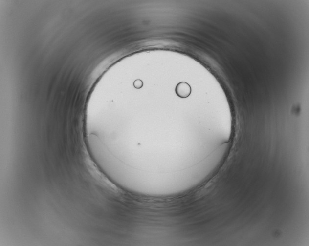 X0000111671330200908281101