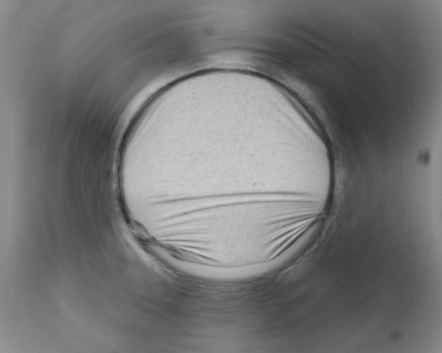 X0000111671331200908281101