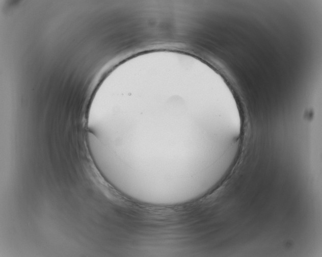 X0000111671332200908281102