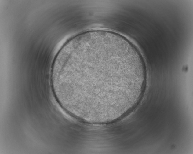 X0000111671333200908281102