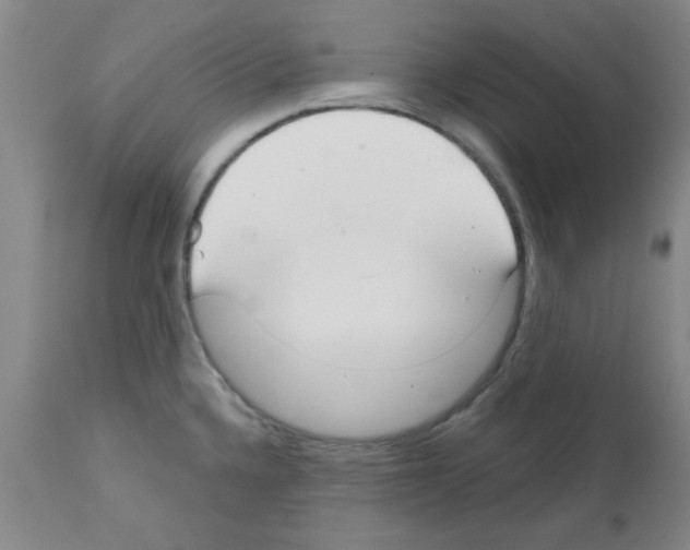 X0000111671336200908281102