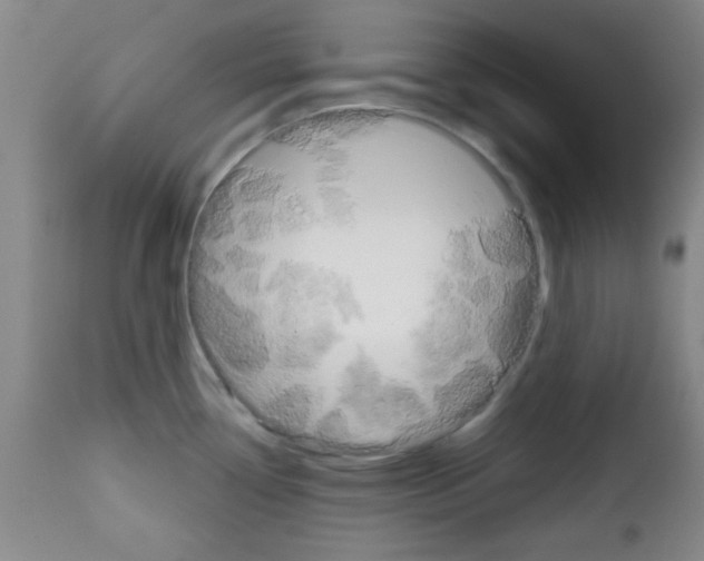 X0000111671338200908281102