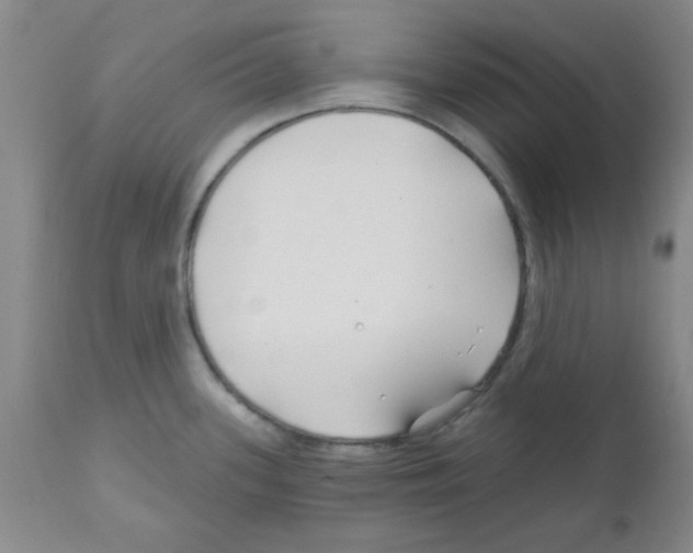 X0000111671339200908281102