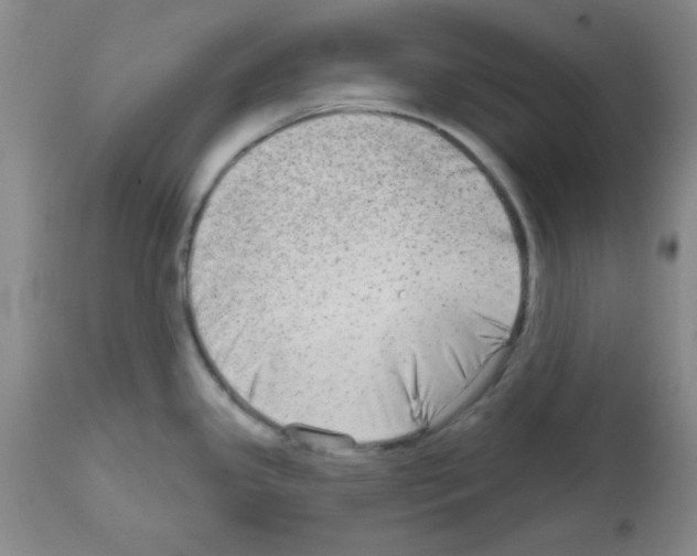 X0000111671341200908281102