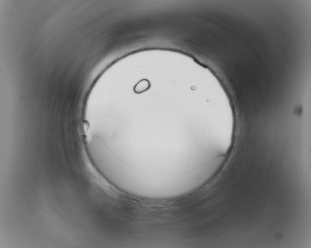 X0000111671342200908281102