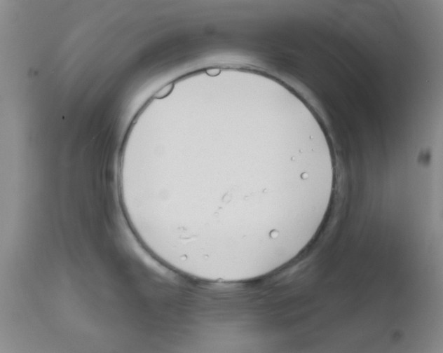 X0000111671343200908281102