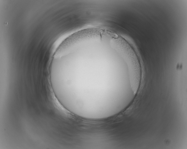 X0000111671344200908281102