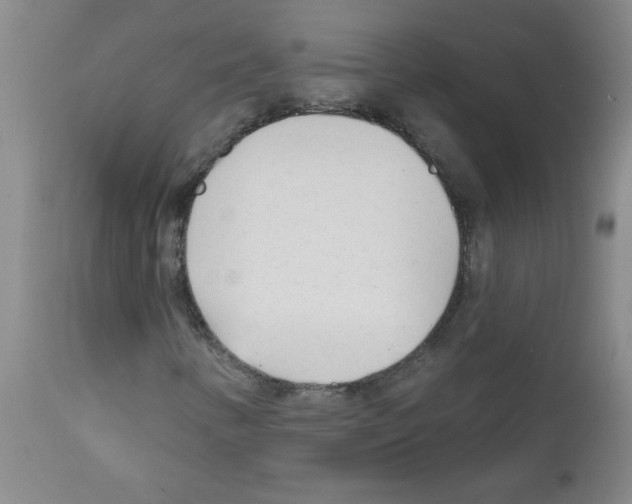 X0000111671346200908281101