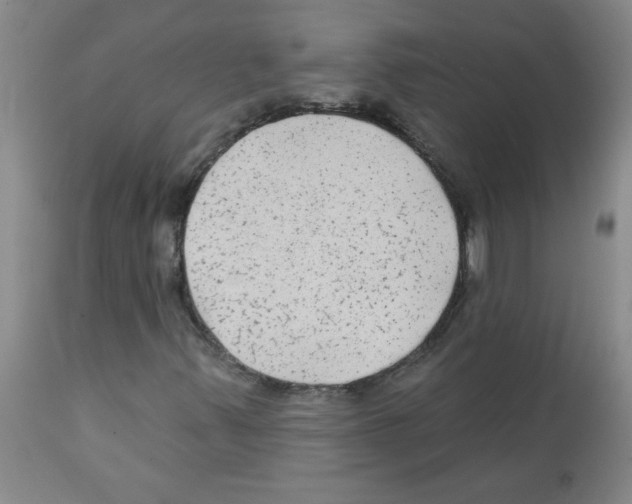 X0000111671347200908281101