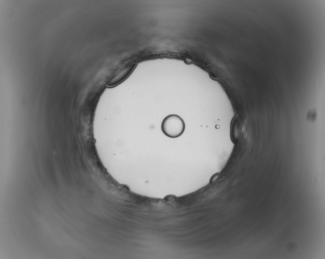 X0000111671348200908281101