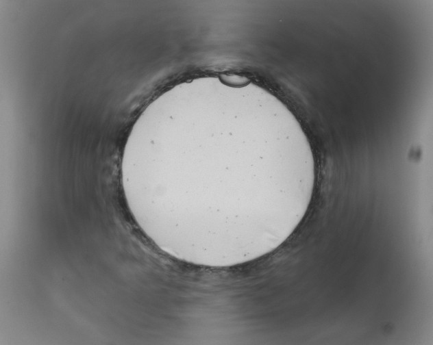 X0000111671349200908281101