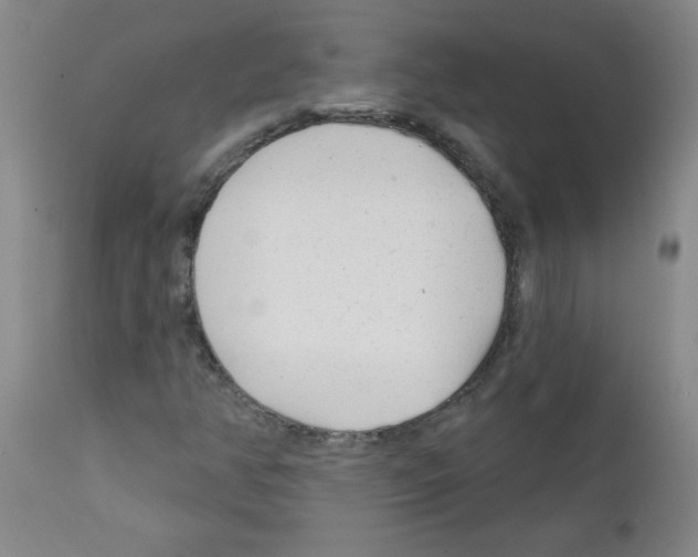 X0000111671350200908281101