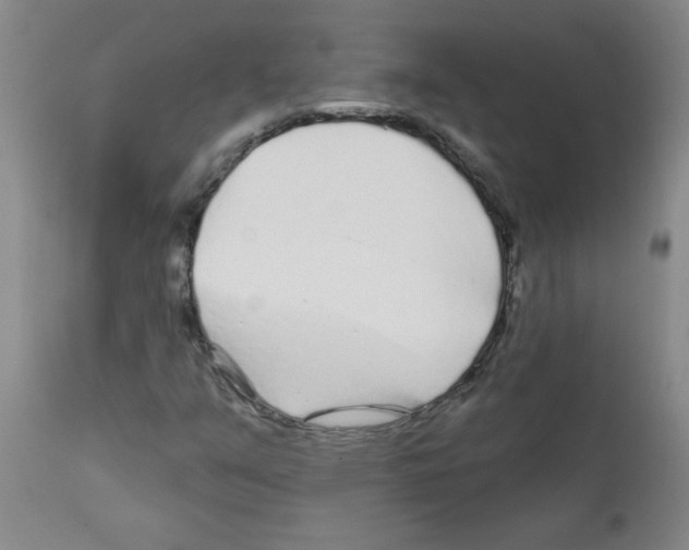 X0000111671351200908281101