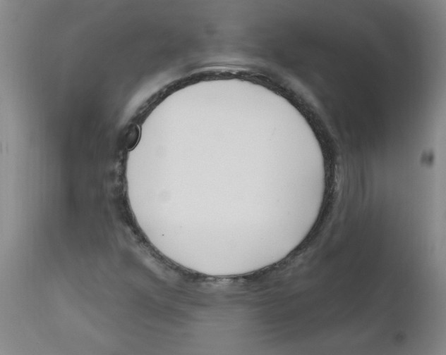 X0000111671352200908281101