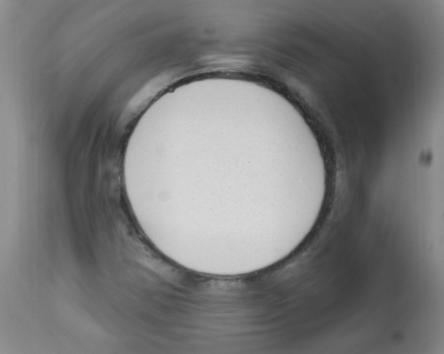 X0000111671354200908281101