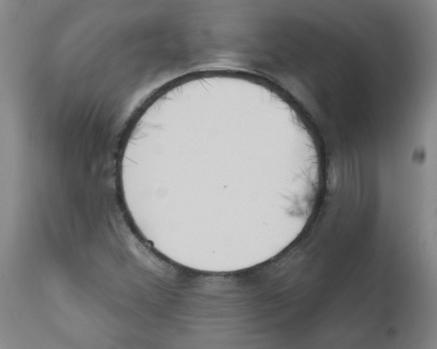 X0000111671356200908281101