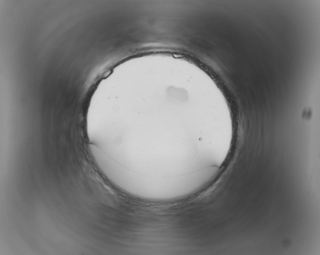 X0000111671357200908281101