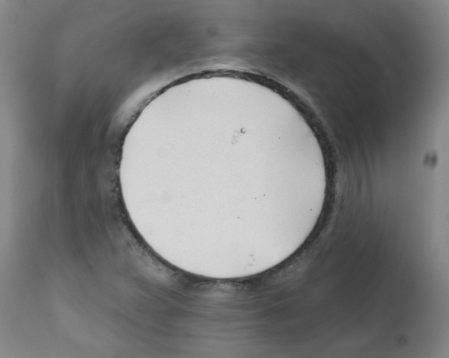 X0000111671359200908281101