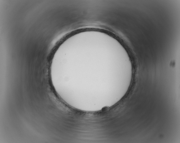 X0000111671360200908281101