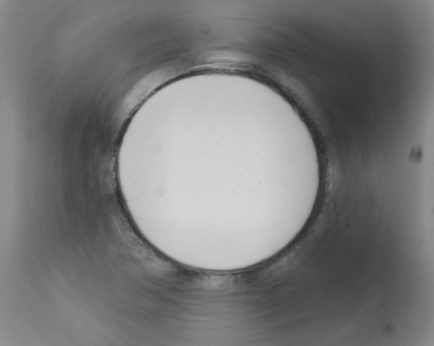 X0000111671362200908281101