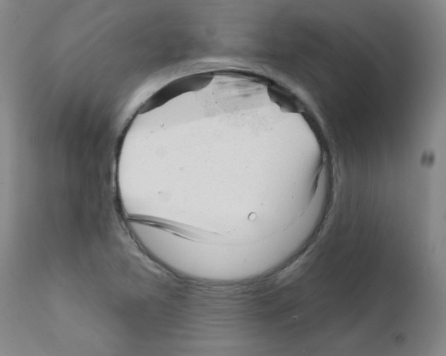 X0000111671365200908281101