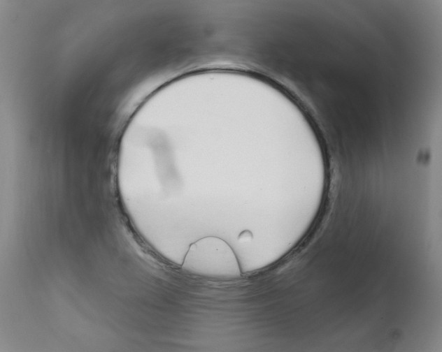 X0000111671367200908281101