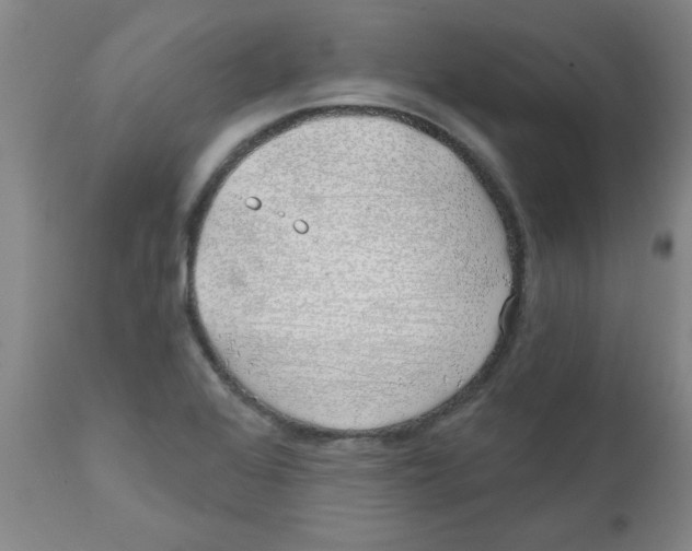 X0000111671368200908281101