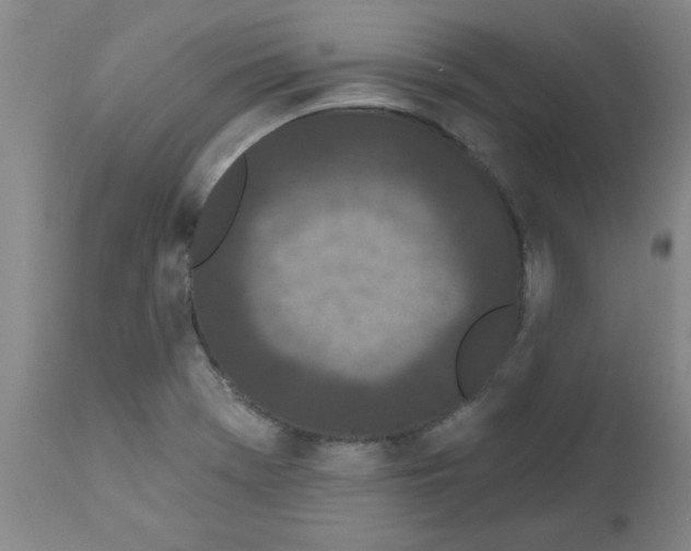 X0000111671369200908281101