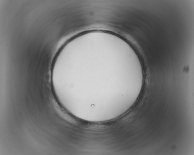 X0000111671372200908281100