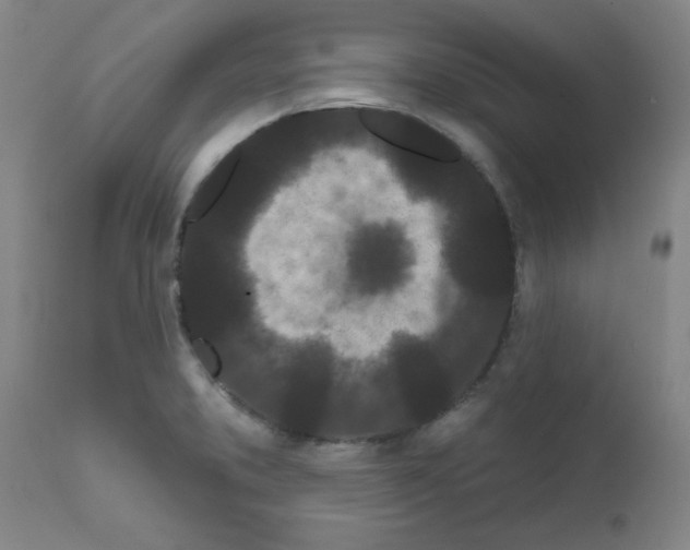 X0000111671373200908281100