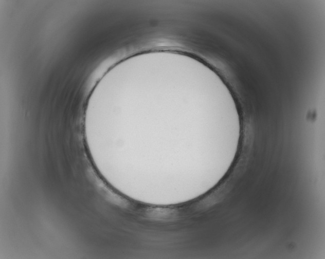 X0000111671374200908281100